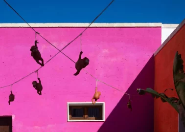ARQUITECTO-INTERIORISTA